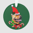 Zoek naar bull terrier ornamenten Gezelschapsdieren