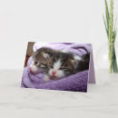 Zoek naar tweeling katten kaarten Dier