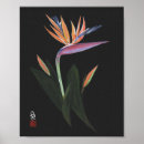 Recherche de arrière plan floral posters Oiseau