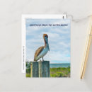 Zoek naar sea briefkaarten Ocean