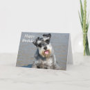 Recherche de schnauzer miniature vœux cartes chien