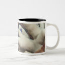 Recherche de multi coloré tasses Sous marin