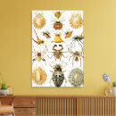 Recherche de arachnide art Halloween