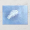 Recherche de ange bleu cartes postales Plumes