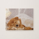 Recherche de shiba inu puzzles Dog