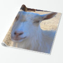 Zoek naar geiten cadeaupapier Land