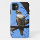 Zoek naar valk iphone hoesjes Hawk