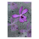 Recherche de bulle pourpre posters Pour tous