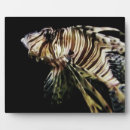 Recherche de lion plaques Peinture