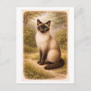 Recherche de de chat siamois cartes postales Vintage