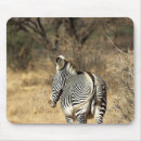 Recherche de animaux sauvages tapis souris Marche
