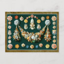 Recherche de feston cartes postales Coquillages