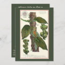 Recherche de poivre noir cartes postales Nourriture