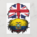 Recherche de l equateur cartes postales Drapeau équatorien