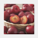 Recherche de fruit refrigérateur magnets Tranche
