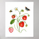 Zoek naar aardbeien posters Vintage