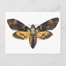 Recherche de tête de mort cartes postales Papillon