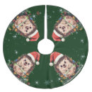 Recherche de zoo jupon de sapin Sauvage