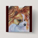 Recherche de chien papillon badges Chiot