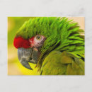 Recherche de santa barbara cartes postales Californie