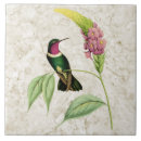 Recherche de de colibris carreaux Pour elle