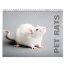 Zoek naar ratten kalenders Gezelschapsdieren