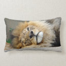 Recherche de somnolent coussins Sommeil