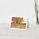 Recherche de arbre de chute vœux cartes Photographie