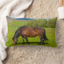 Recherche de islandais coussins Ranch