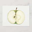 Recherche de vert pomme cartes postales Vintage