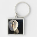 Zoek naar zwanen sleutelhangers Fotografie