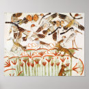 Zoek naar moerassen posters Egyptisch