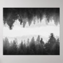 Recherche de miroir posters Forêt
