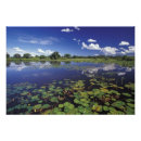 Recherche de pantanal posters Nature