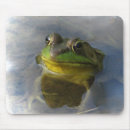 Recherche de froggy tapis souris Vert