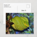 Recherche de boa cartes postales Constricteur
