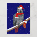 Recherche de noël africain cartes postales Perroquet