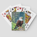 Recherche de aigle américain jeux de cartes Lecture
