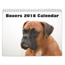 Recherche de boxeurs Pour tous
