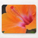 Recherche de fleur ketmie tapis souris Fleurs