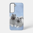 Recherche de paires coques Pour tous