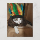 Recherche de chat de rue cartes postales Chaton
