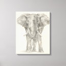 Zoek naar schets canvas prints Tekening