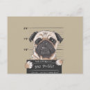 Recherche de mauvais chien cartes postales Dog