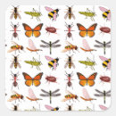 Recherche de petit insecte autocollants Jardin