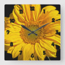 Recherche de tournesol horloges Yellow