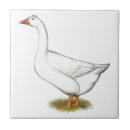 Recherche de roman carreaux Blanc