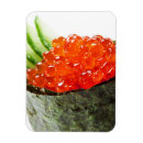 Recherche de poissons magnets Asiatique