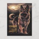 Zoek naar german shepherd briefkaarten Duitse herder