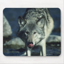 Zoek naar grijze wolf muismatten Natuur